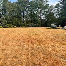 Grass-That-Lasts-Expert-Lawn-Renovation-and-Landscaping-Services-in-Trumbull 2